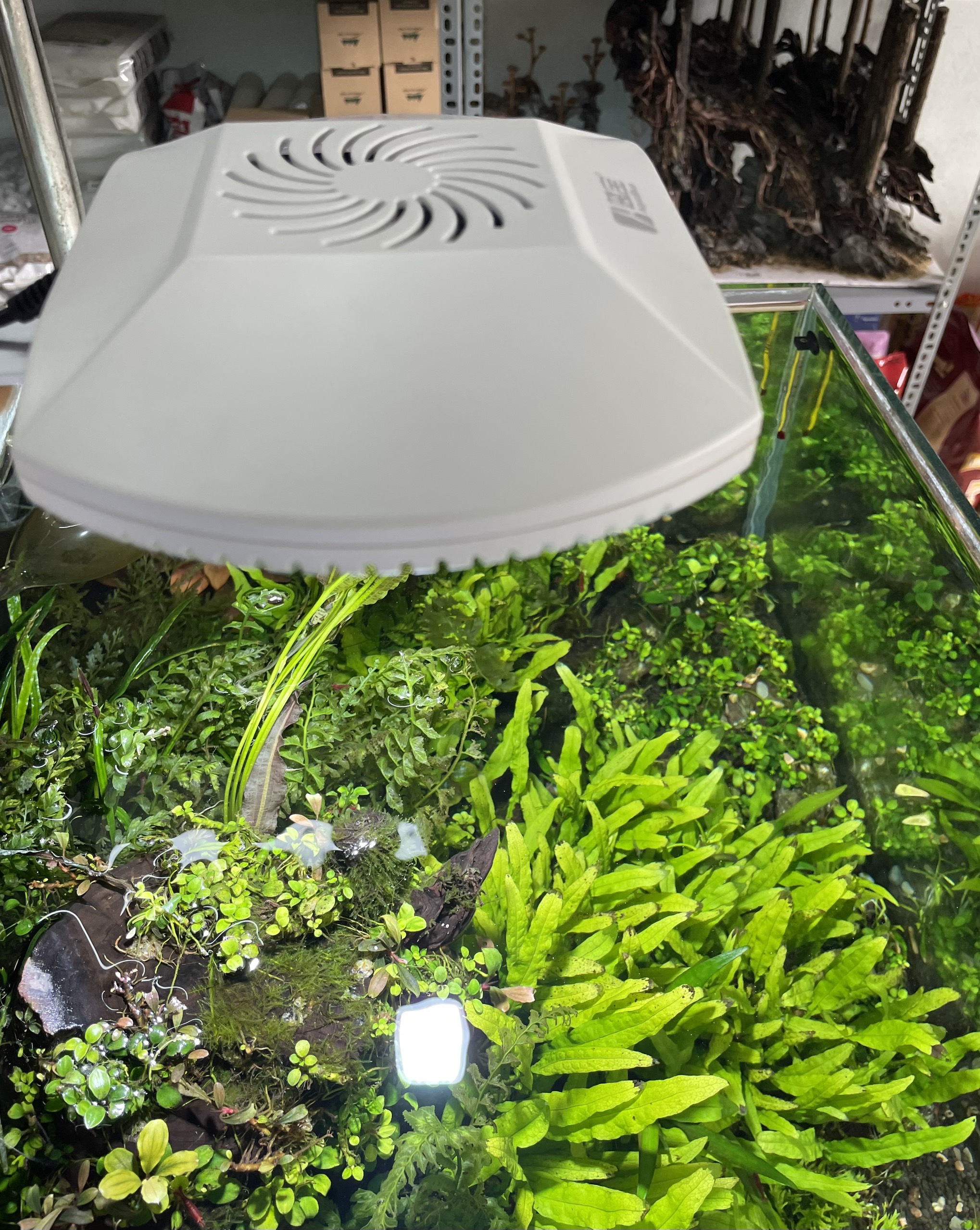 [HOÀN TIỀN 10%]ĐÈN LED WRGB AQUA BLUE S6