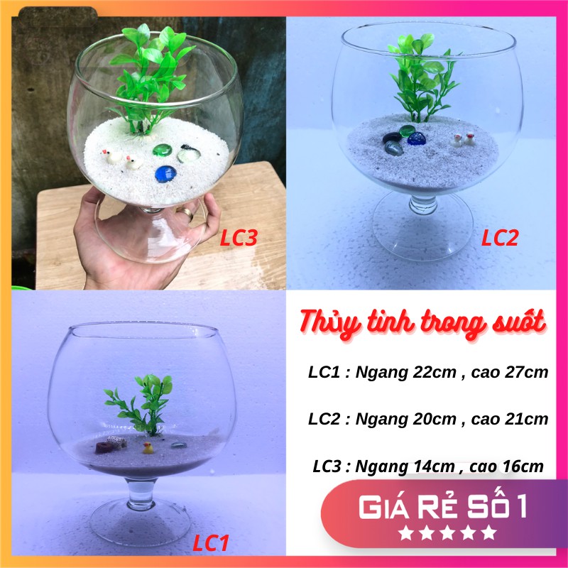 Bể cá mini để bàn LC - Tặng phụ kiện