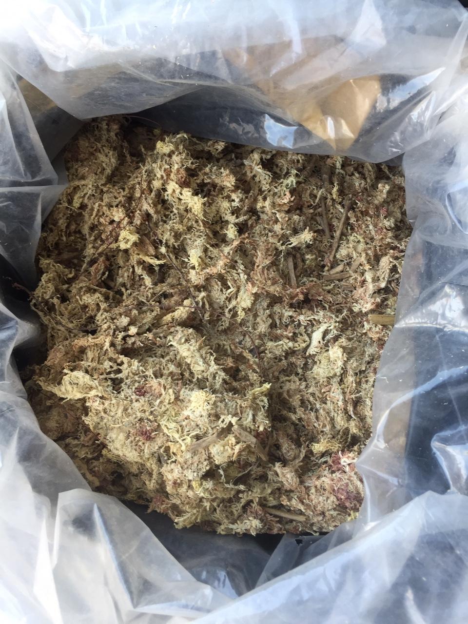 Dớn Chile-1kg