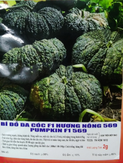 HẠT BÍ ĐỎ DA CÓC F1 - GÓI 2 GRAM