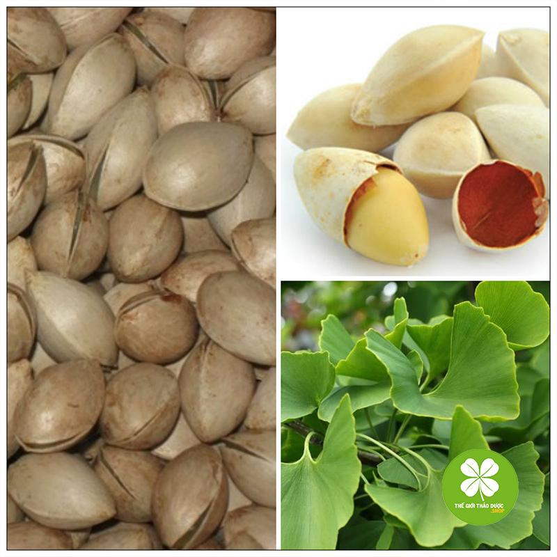 Bạch quả (gói 1kg) - TD113