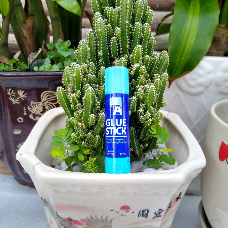 {HCM} Hồ khô double A loại 8g siêu dính 5.0 [ VPP Trí Đức ]