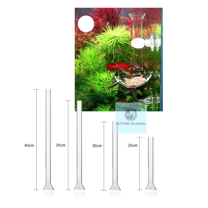 Bộ Ống + ĐĩaThủy Tinh Giữ Thức Ăn Cho Cá Tép