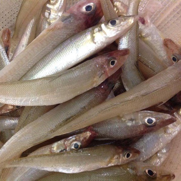 500g khô cá bống biển Phú Quốc