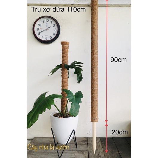 Trụ cột xơ dừa cao 70/80/90cm/110cm