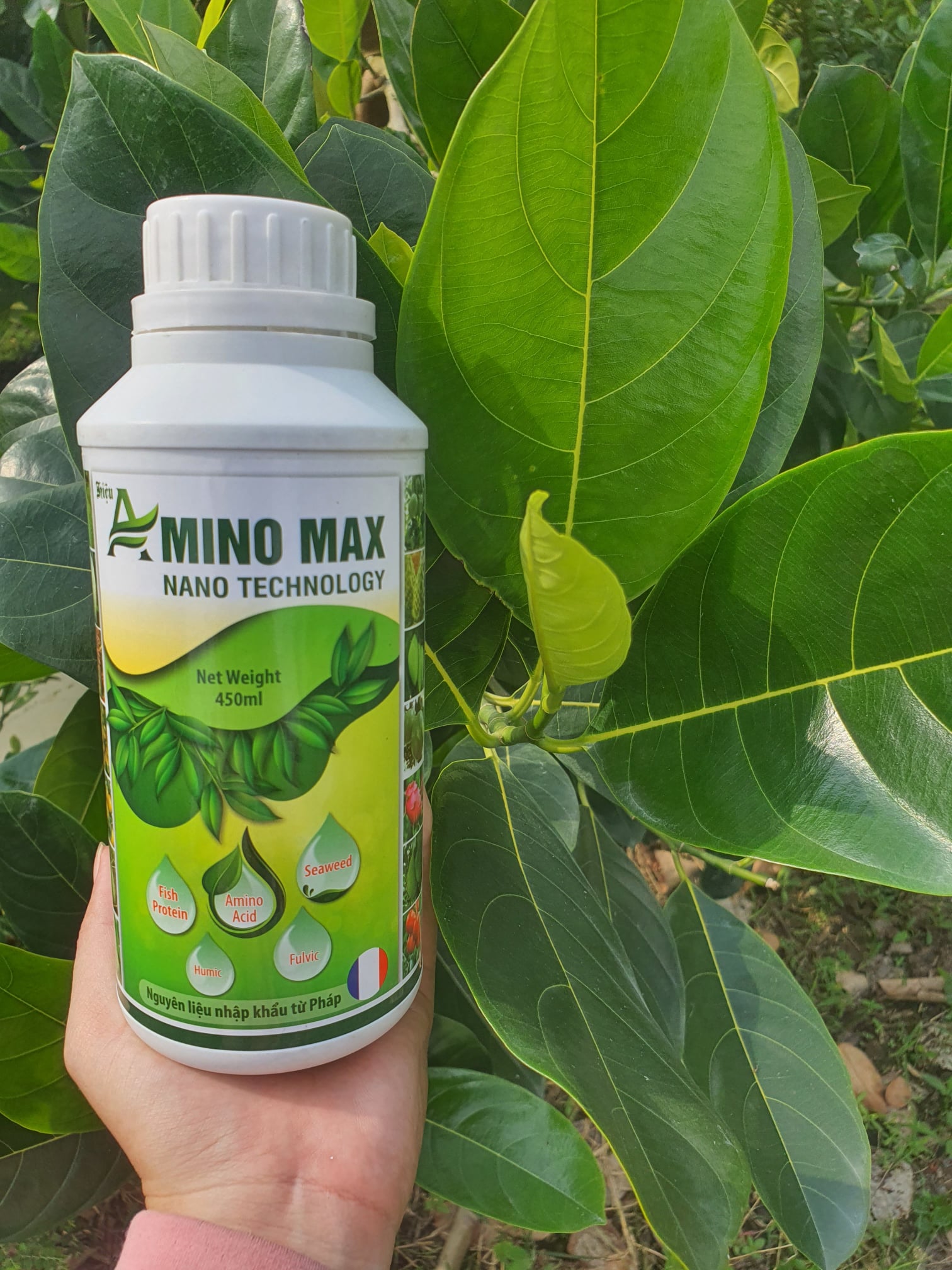 Phân bón 𝐀𝐌𝐈𝐍𝐎 𝐌𝐀𝐗 BUNG CHỒI - KÉO ĐỌT - XANH LÁ - MÁT CÂY( nguyên liệu nhập từ Pháp)