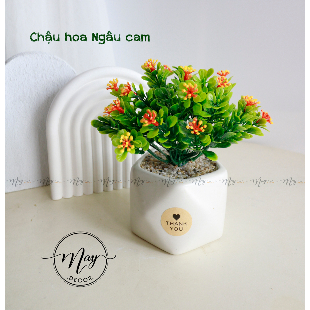 Hoa giả, Chậu hoa Ngâu để bàn trang trí