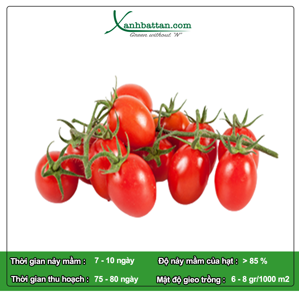 Hạt Giống Cà Chua Bi Phú Nông Gói 0.1 Gram