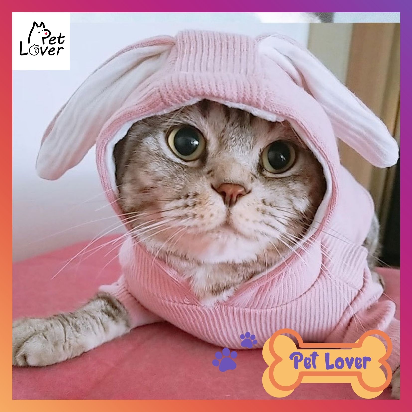 Cat clothes, cat hat, super cute pink color, comfortable form, cats can run and jump (pink hat)