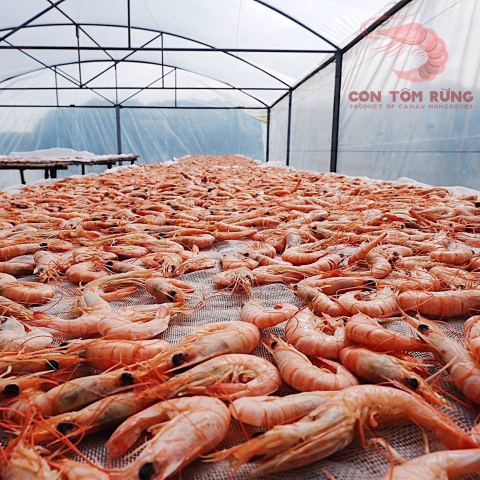 Dried Shrimp Type 1 Wild Shrimp 100g