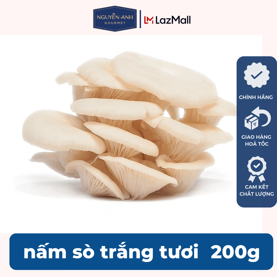 Nấm sò trắng tươi cao cấp Nấm Xanh
