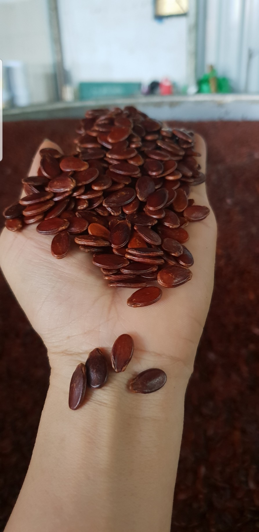 Hạt Dưa Sạch Gia Long vị mộc rang củi thơm giòn béo (500g)