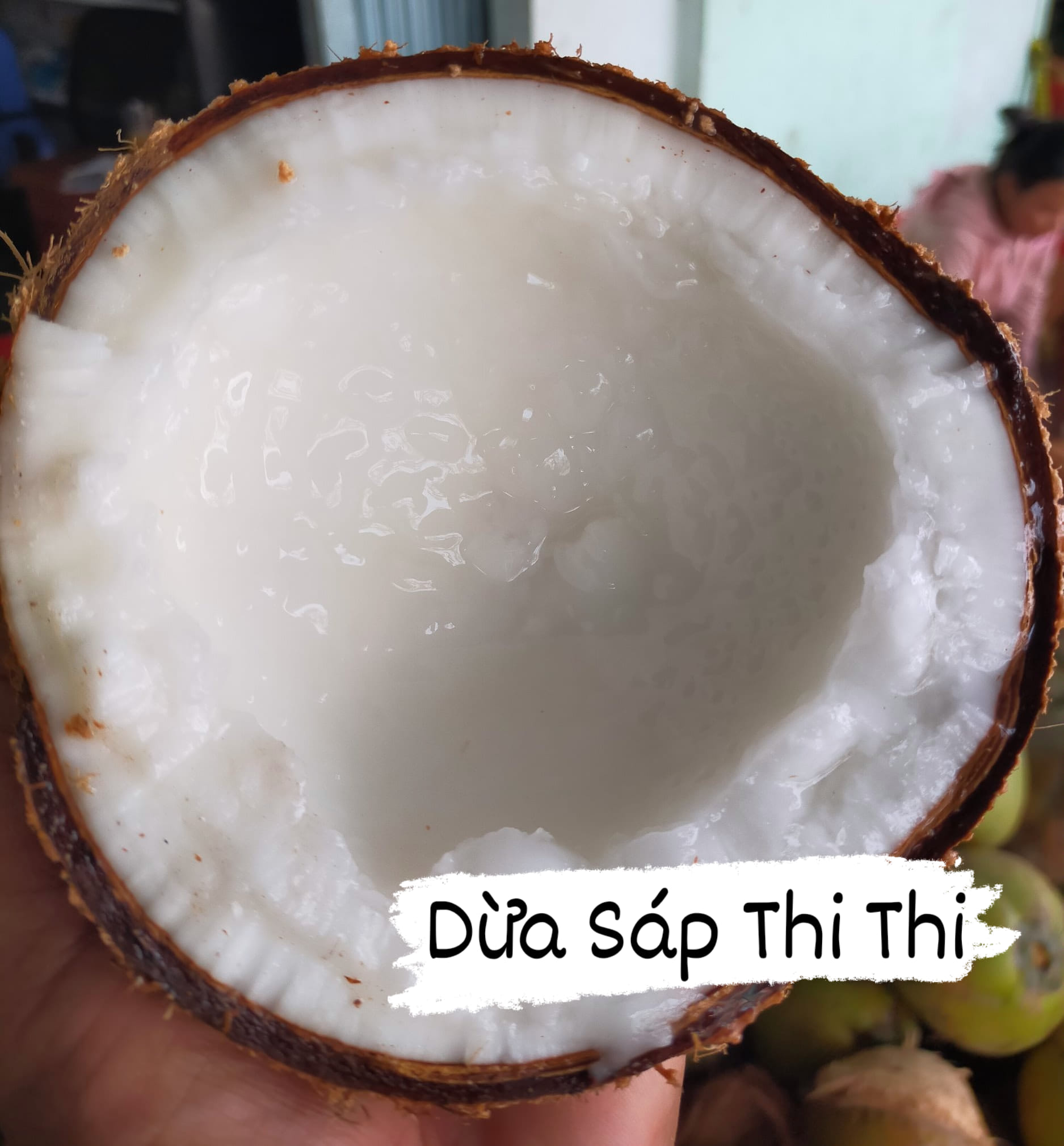 Dừa Sáp Cầu Kè Trà Vinh - Loại Ngon (Nhiều Loại)