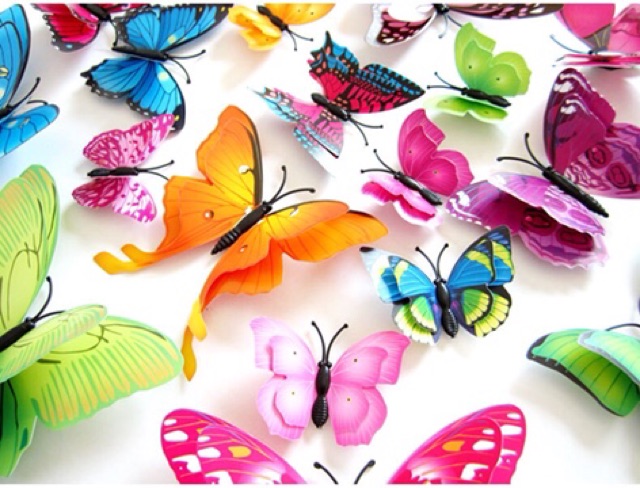 Bộ 12 bướm 3D cánh kép đủ màu