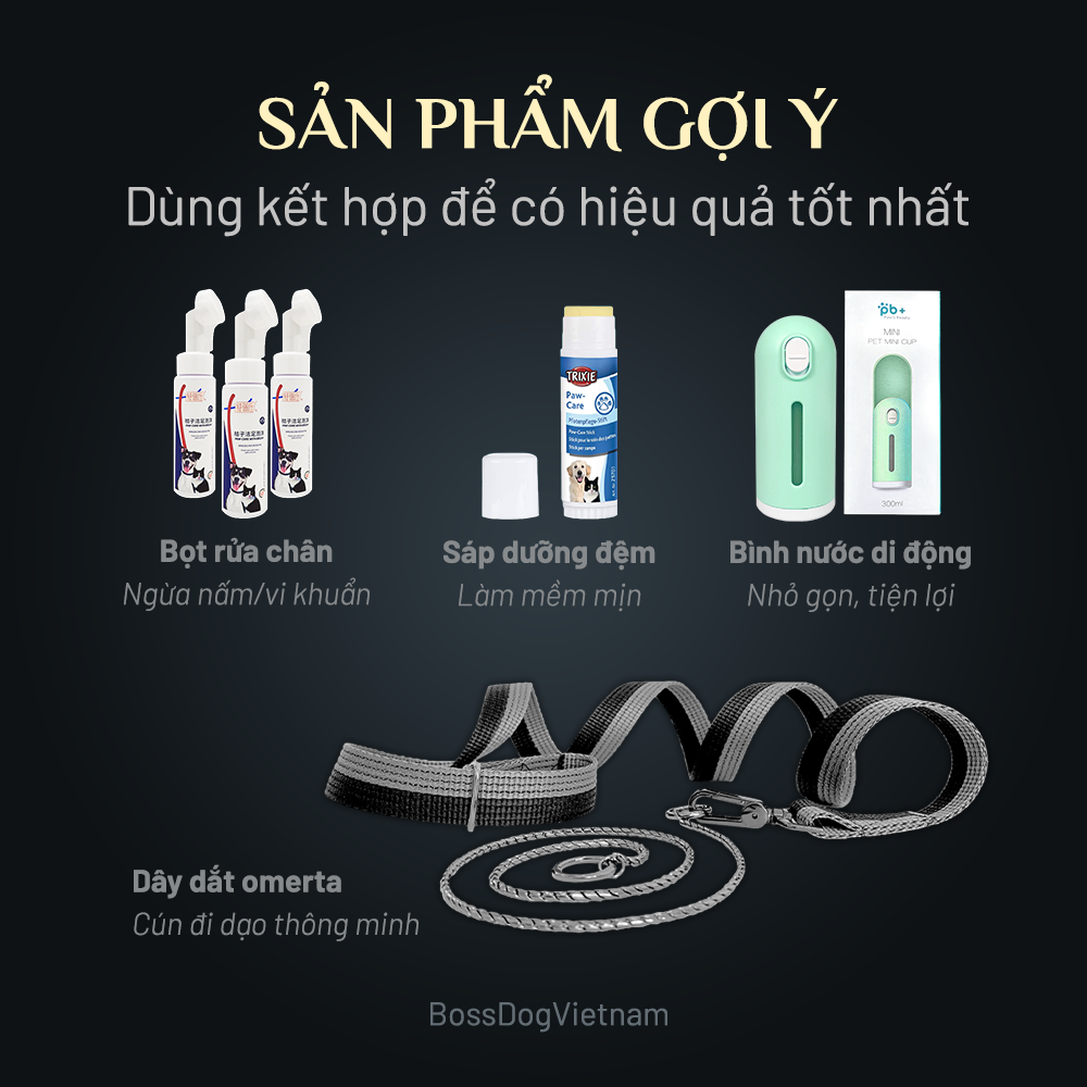Dây dắt thú cưng cơ bản (Màu ngẫu nhiên) | BossDog