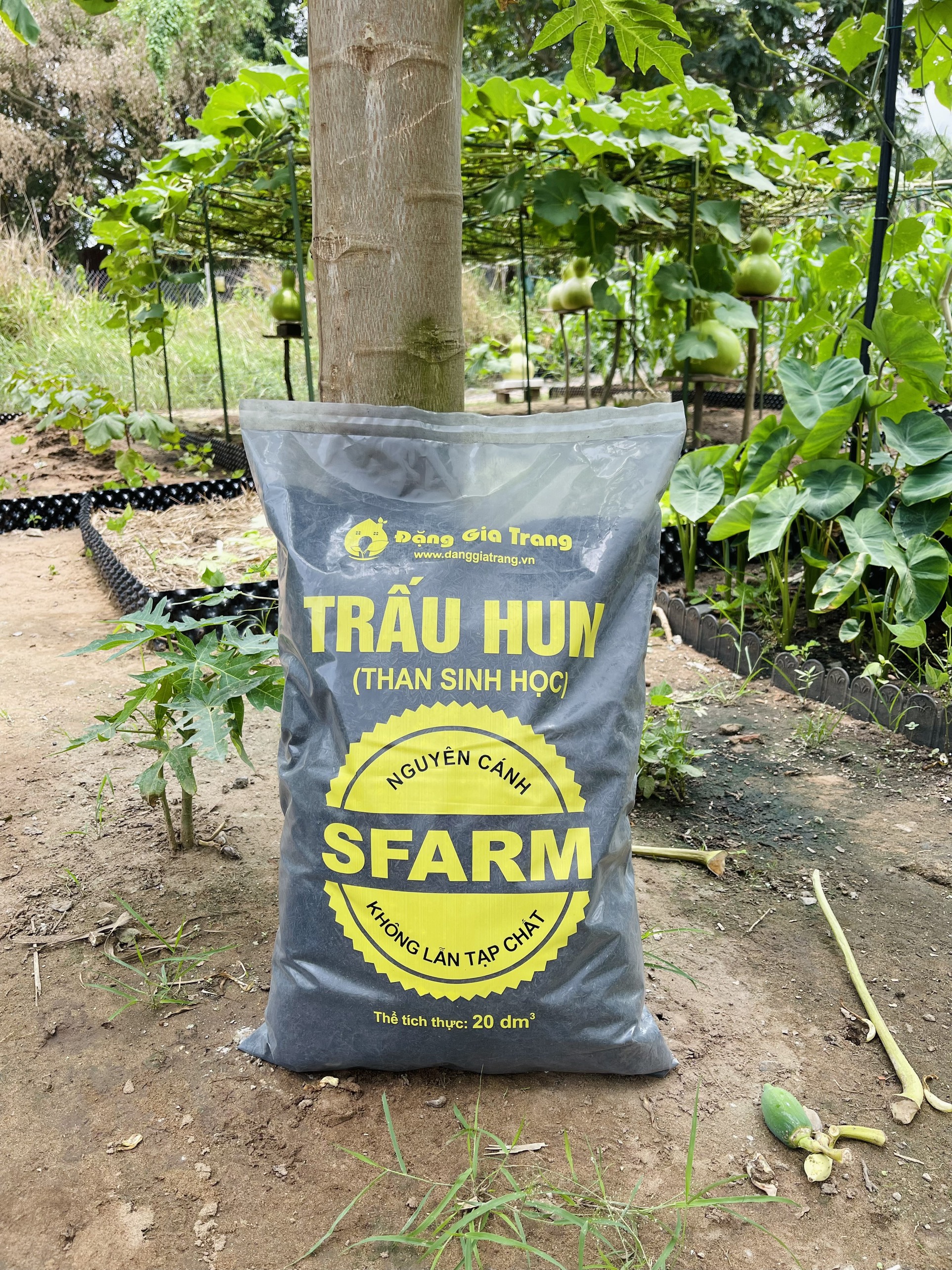Trấu hun Sfarm 20dm3 giúp đất tơi xốp rễ cây dễ lấy dinh dưỡng