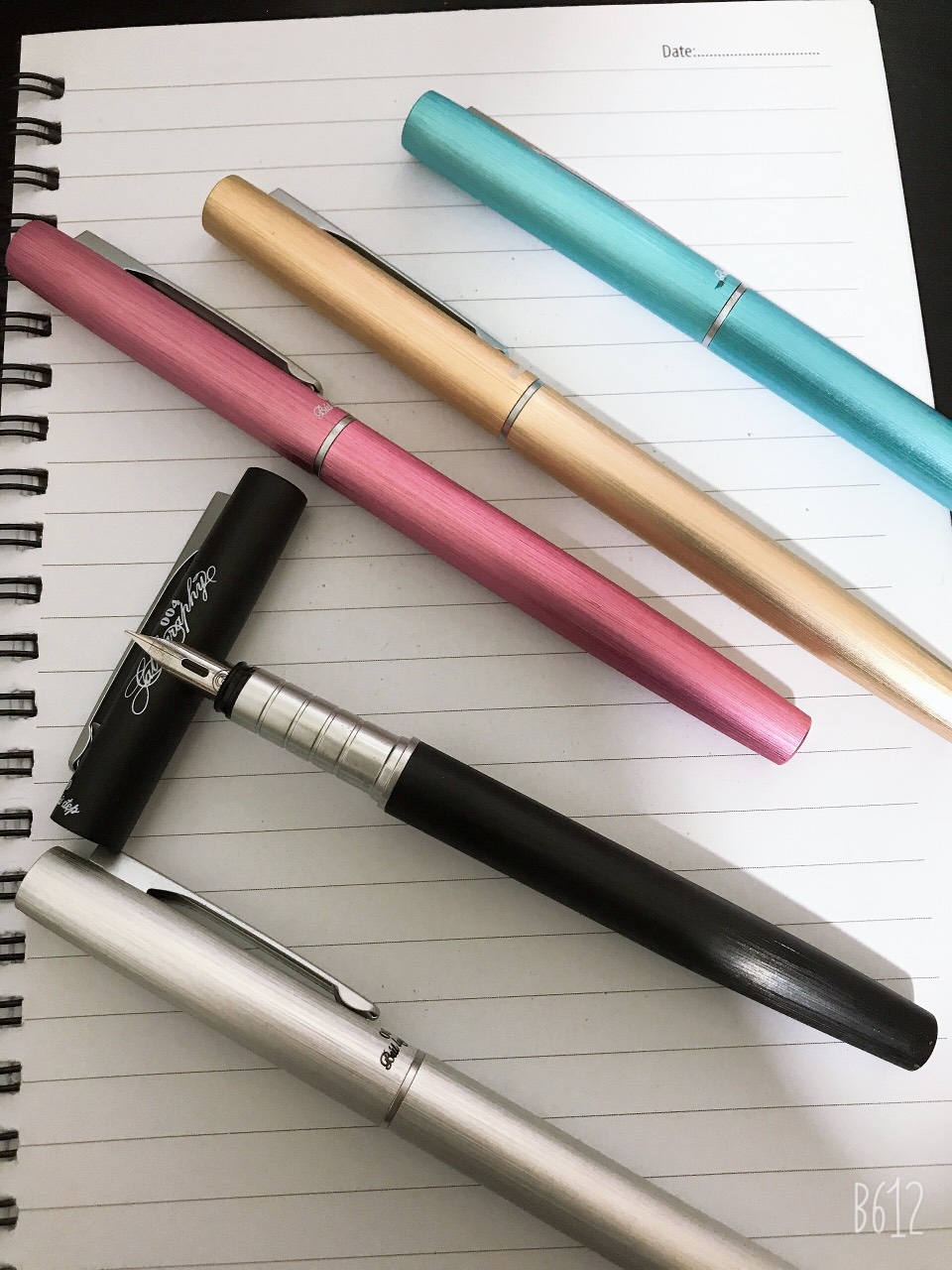 Bút Máy Viết Nét Thanh Đậm Ouguwen 004   Ngòi Tách đôi Ngòi Lá TRe