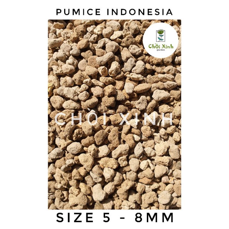 Đá pumice Indonesia size 5 -8mm