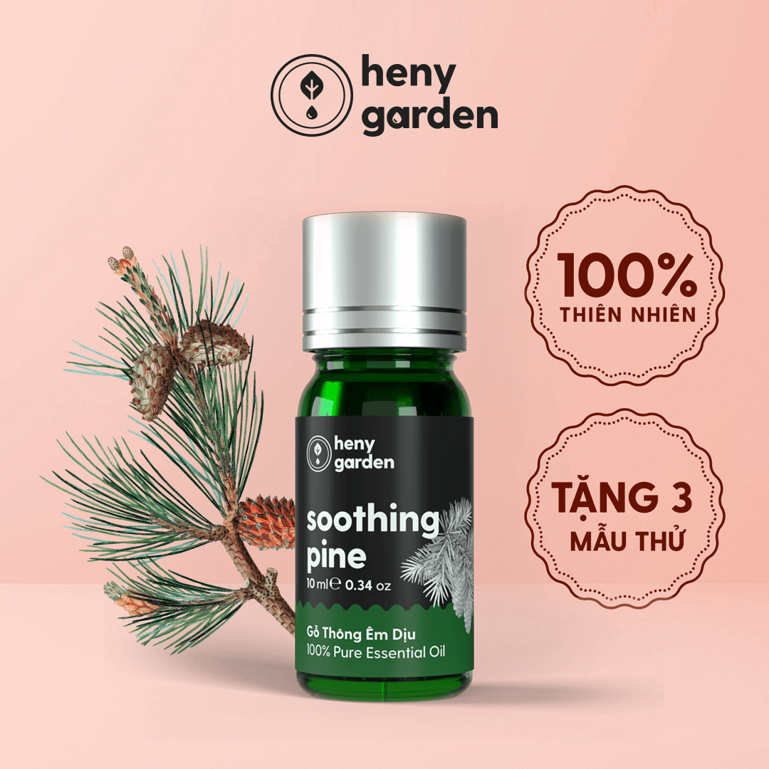 Tinh dầu gỗ thông làm nến thơm xông thơm phòng kèm video hướng dẫn làm nến thơm - có kiểm định chất lượng quatest 3 - nguyên liệu làm nến thơm dụng cụ làm nến sáp làm nến heny garden