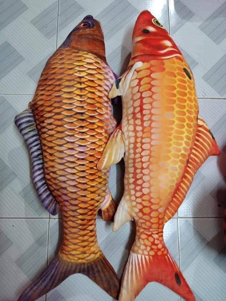CÁ CHÉP GẤU BÔNG 3D