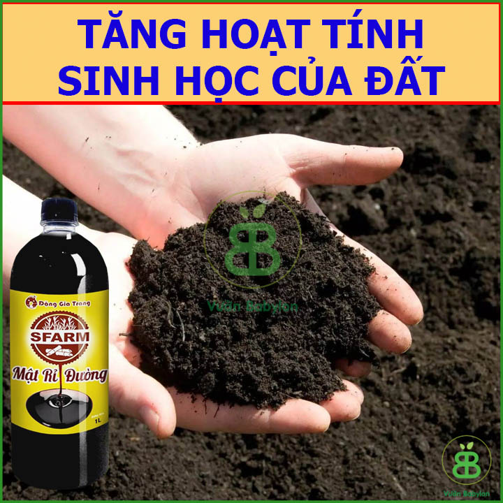 Mật Rỉ Đường 1 Lít