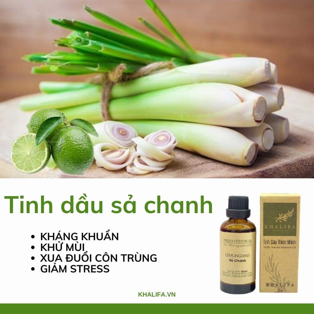 TINH DẦU SẢ CHANH KHALIFA 50ML