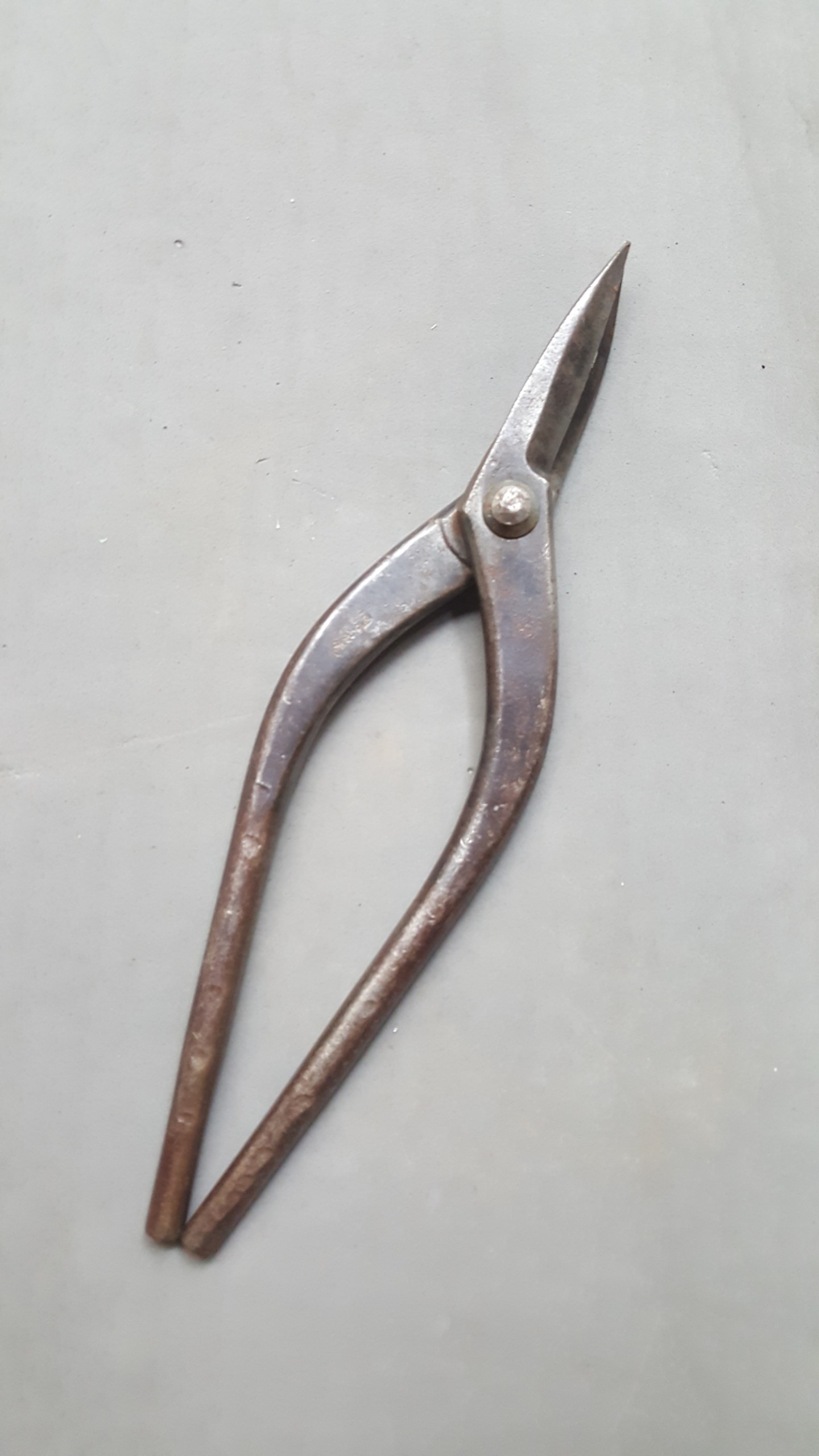Metal Cutting Scissor Straight Edge