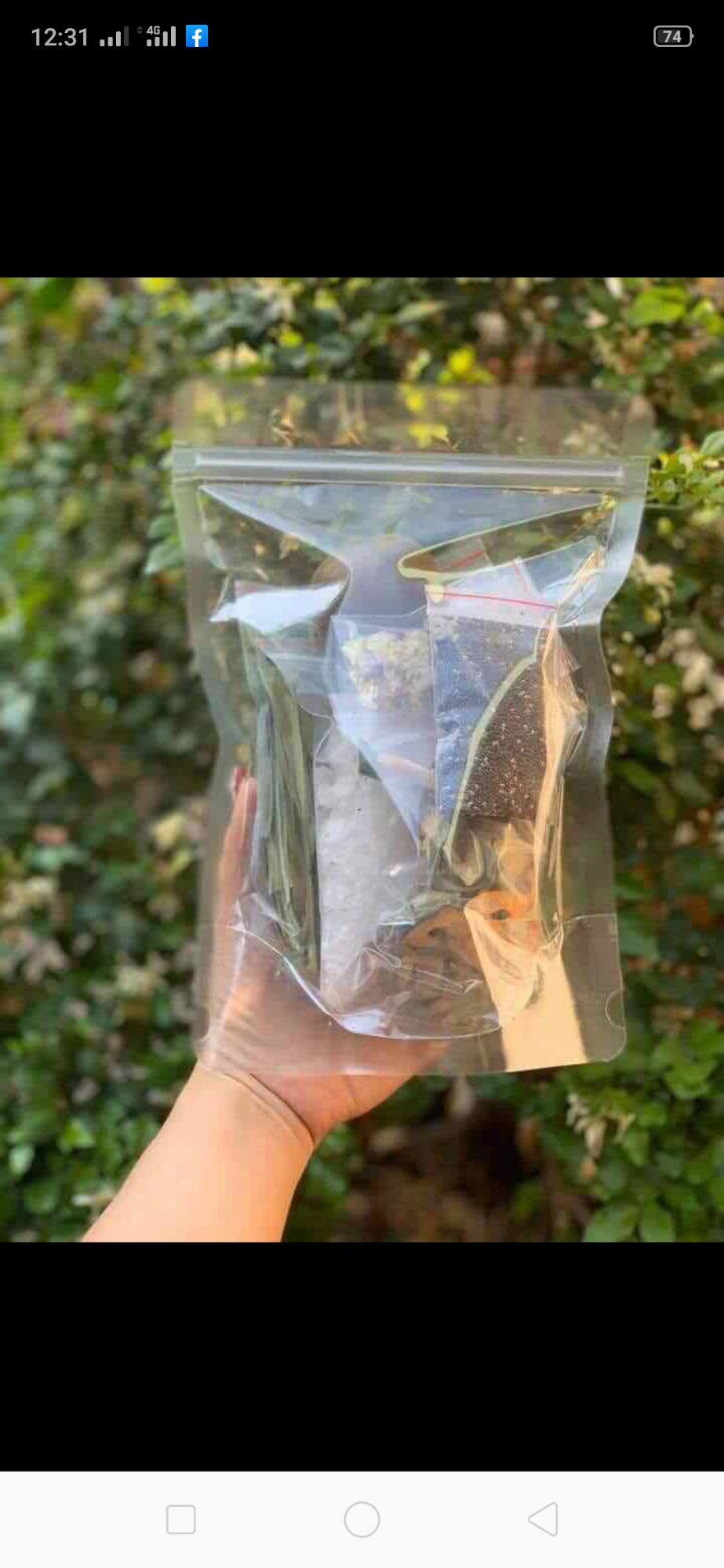 combo 5 sét sâm bí đao
