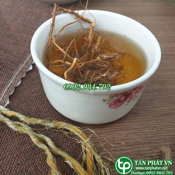 [Túi lớn loại 1kg] Rễ bồ công anh Tấn Phát - Hỗ trợ thanh nhiệt và giải độc