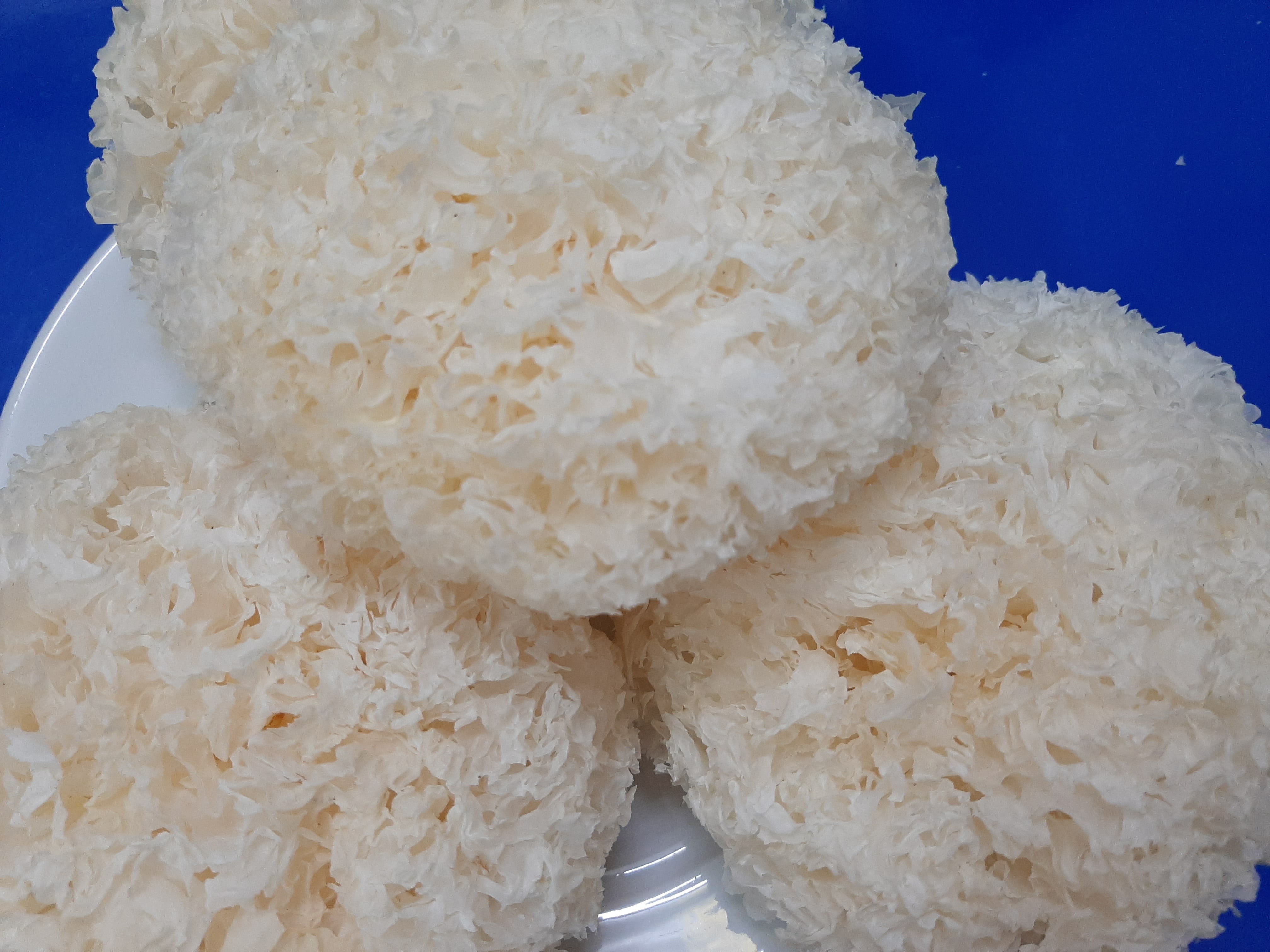 Nấm tuyết khô 100g