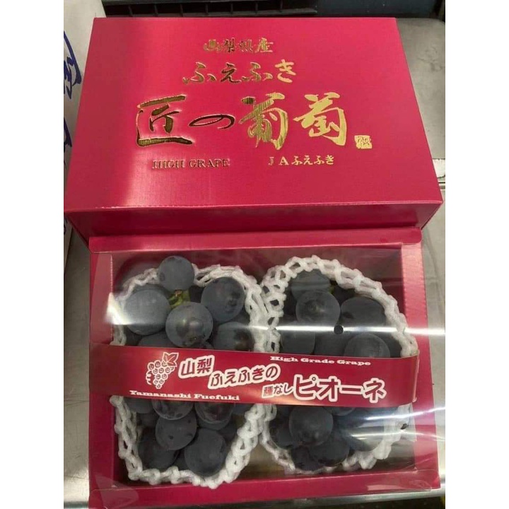 Cây Giống Nho đen Kyoho Nhật Bản (CÂY GHÉP MAU TRÁI)