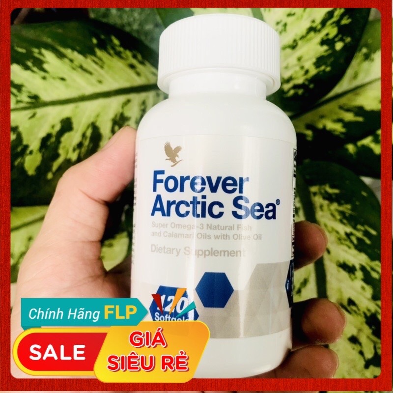 CHÍNH HÃNG VIÊN DẦU CÁ LÔ HỘI MS 376 FLP- 039 FLP Viên