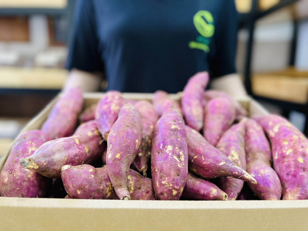 [ GIAO TOÀN QUỐC ] VG FARM Khoai Lang Nhật