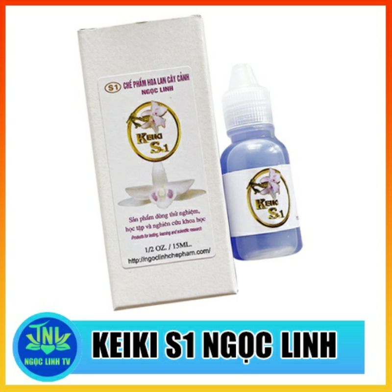 KÍCH KI HOA LAN NGỌC LINH KÍCH KI S1