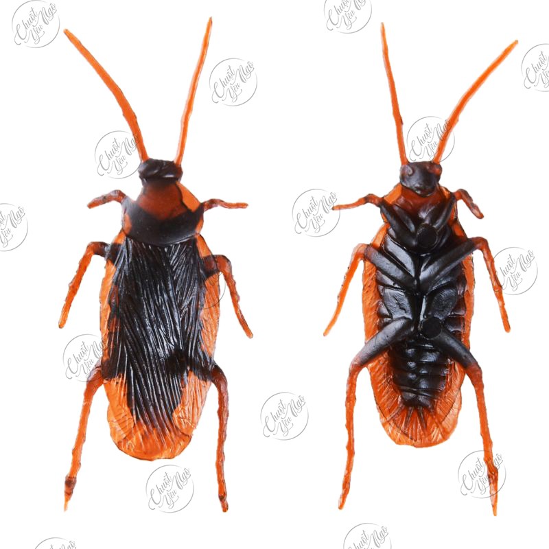 Combo 10 con gián giả nhựa dẻo 5.5cm