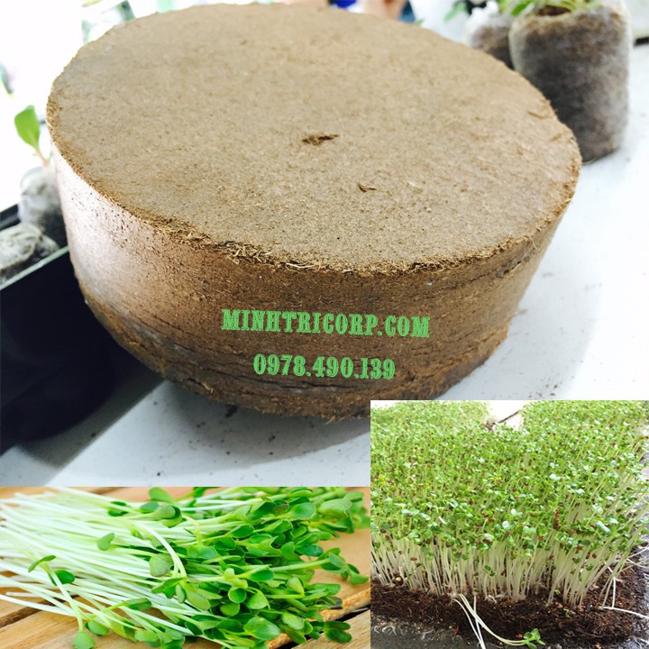 [HCM]BLOCK GIÁ THỂ MỤN DỪA 4 VIÊN