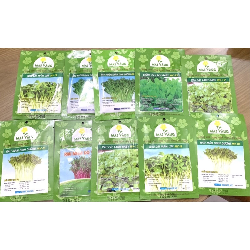 COMBO 10 gói (tặng 1 gói) hạt giống Rau Mầm [Đủ loại] dễ trồng