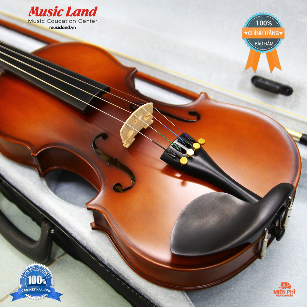 Đàn Violin Victoria - Chính hãng