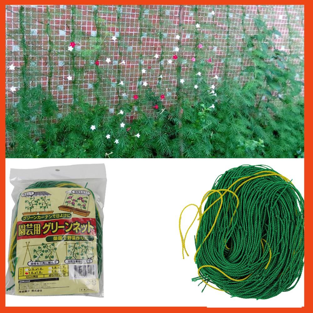 Lưới làm giàn dây leo, lưới làm giàn cây Ollie net (xanh)