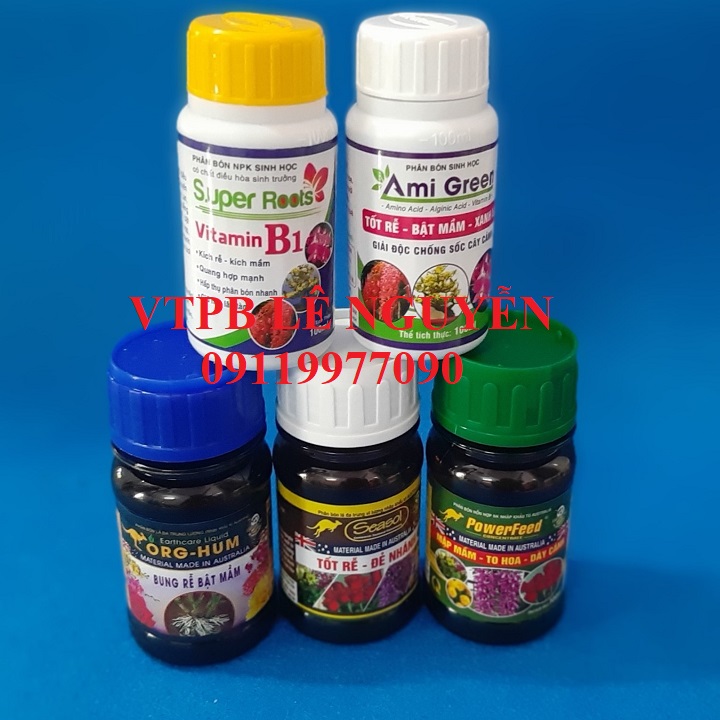 Combo kích rễ, bật mầm cho lan