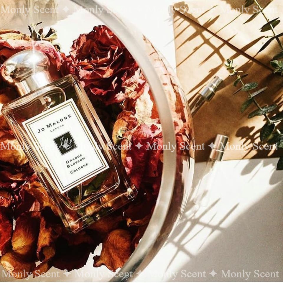 Nước Hoa Orange Blossom Jo Malone - _™