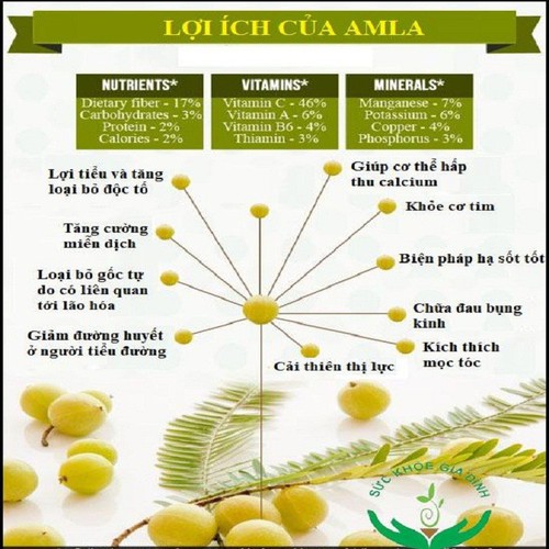 Powder Amla organic diet food 200g
