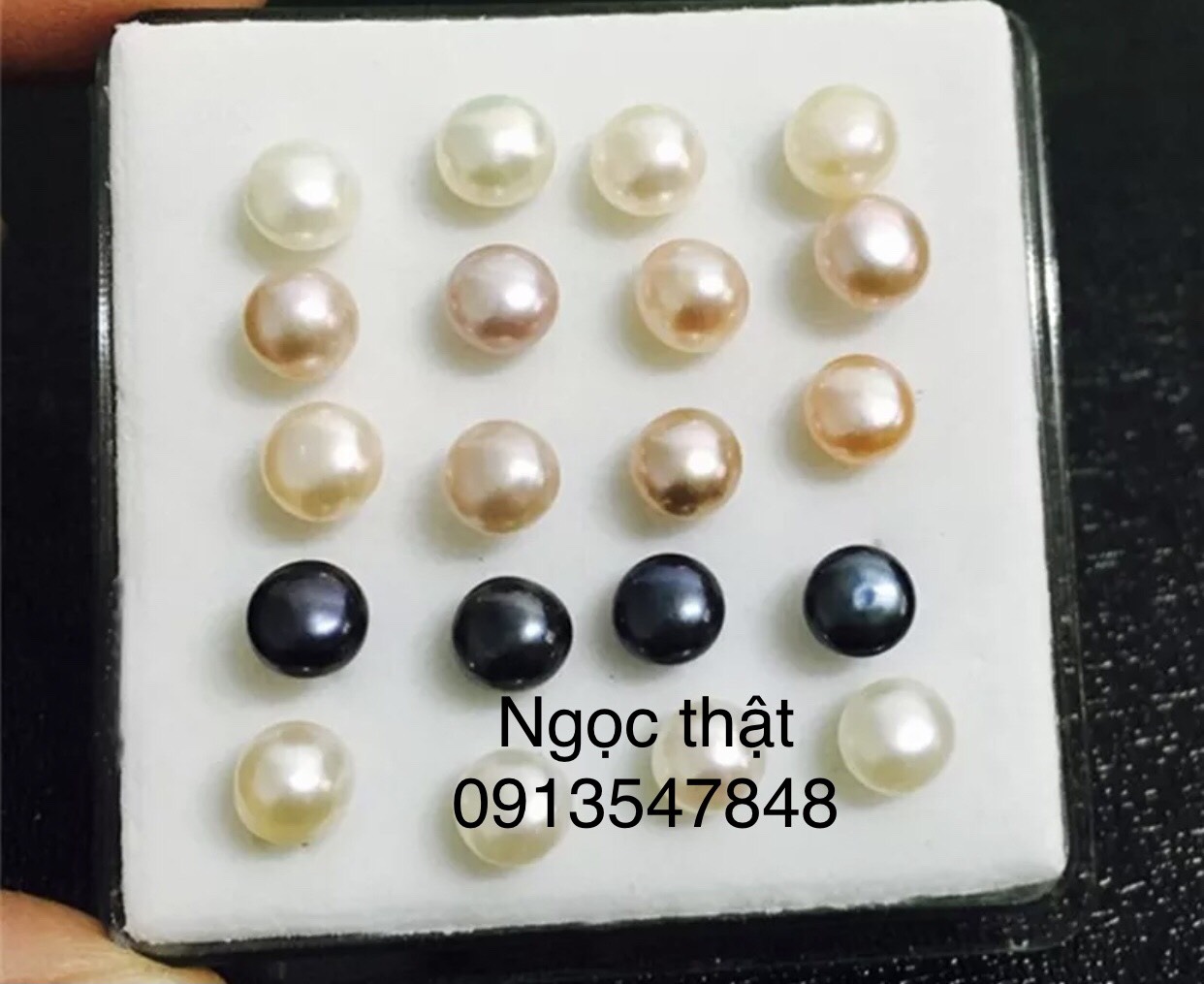Bông tai nụ ngọc trai thật chuôi bạc