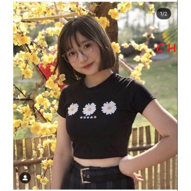 Áo croptop hoa cúc ABCD CH12, áo kiểu nữ, áo thun nam nữ, quần khaki, quần nữ, sét bộ mặc ở nhà, áo thun tay dài, quần jean ống rộng- TIMON