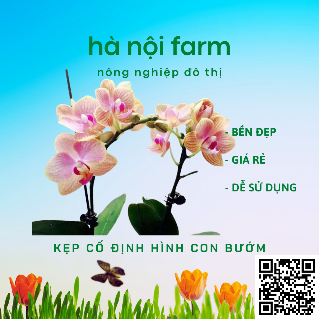 100 kẹp bướm cố định cho lan (loại nhỏ)