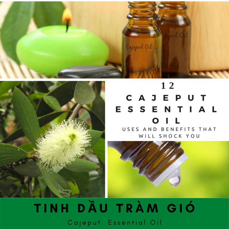 [HCM][Mua 1 tặng 1]Tinh Dầu Tràm Gió Cajuput 50ml
