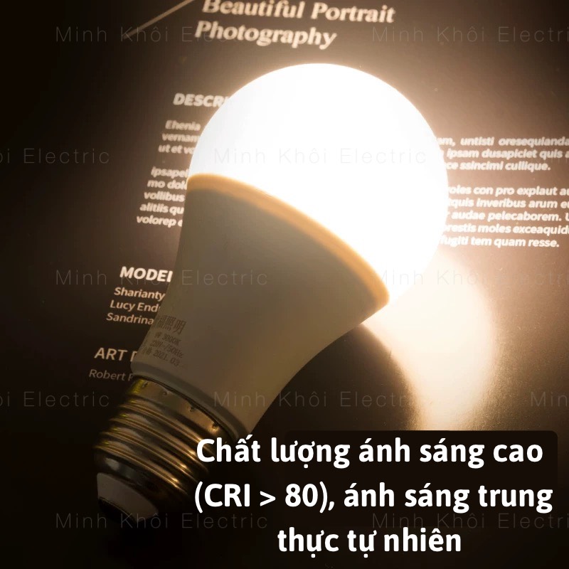 bóng đèn led rạng đông bảo hành 12 Tháng