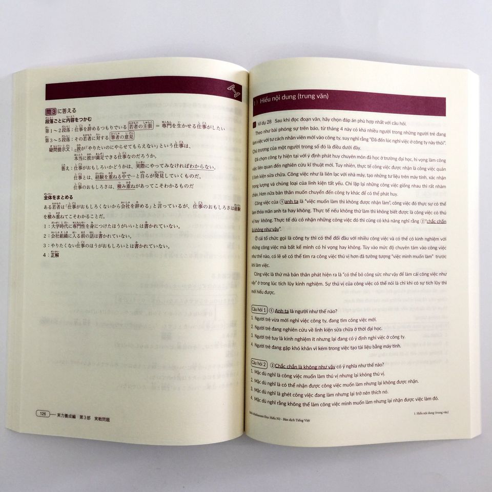 Shinkanzen Master N2 Đọc Hiểu Dokkai – tiếng Việt