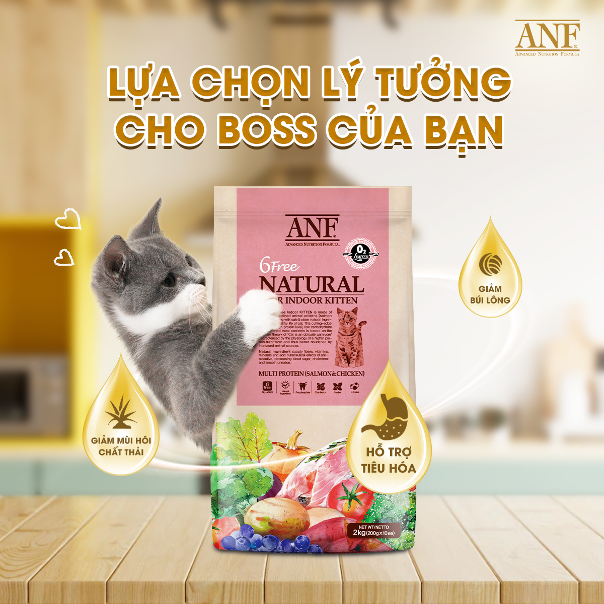 [6kg] THỨC ĂN HẠT CHO MÈO CON ANF 6 FREE INDOOR KITTEN