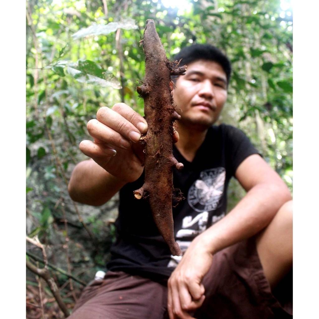 Tắc Kè Đá Tươi 1kg